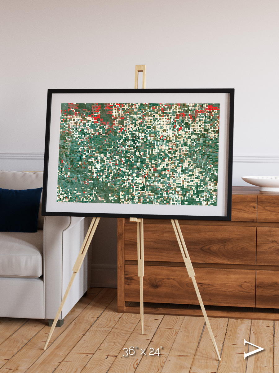 Patterns of Growth, Garden City Framed & Mounted Print