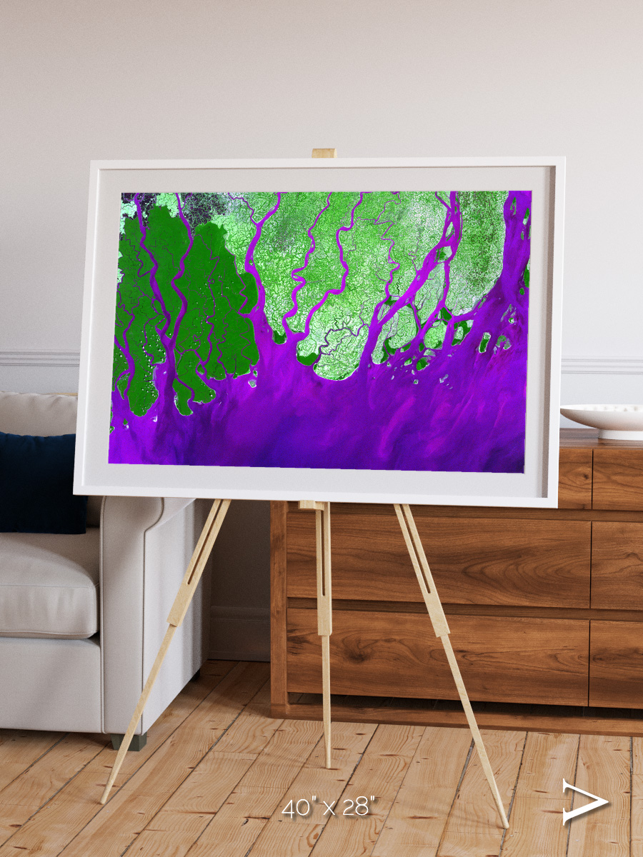 Delta Mosaic, Ganges River Delta Framed & Mounted Print