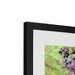 Wetland Mosaic, Cabo San Antonio Framed & Mounted Print