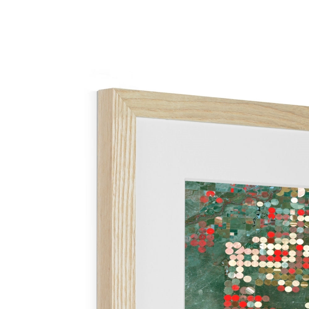 Patterns of Growth, Garden City Framed & Mounted Print