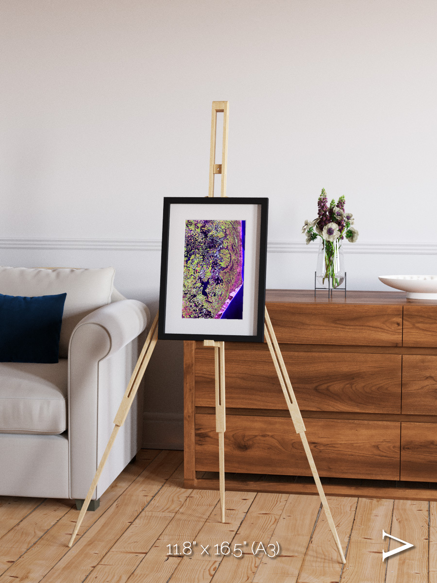Wetland Mosaic, Cabo San Antonio Framed & Mounted Print
