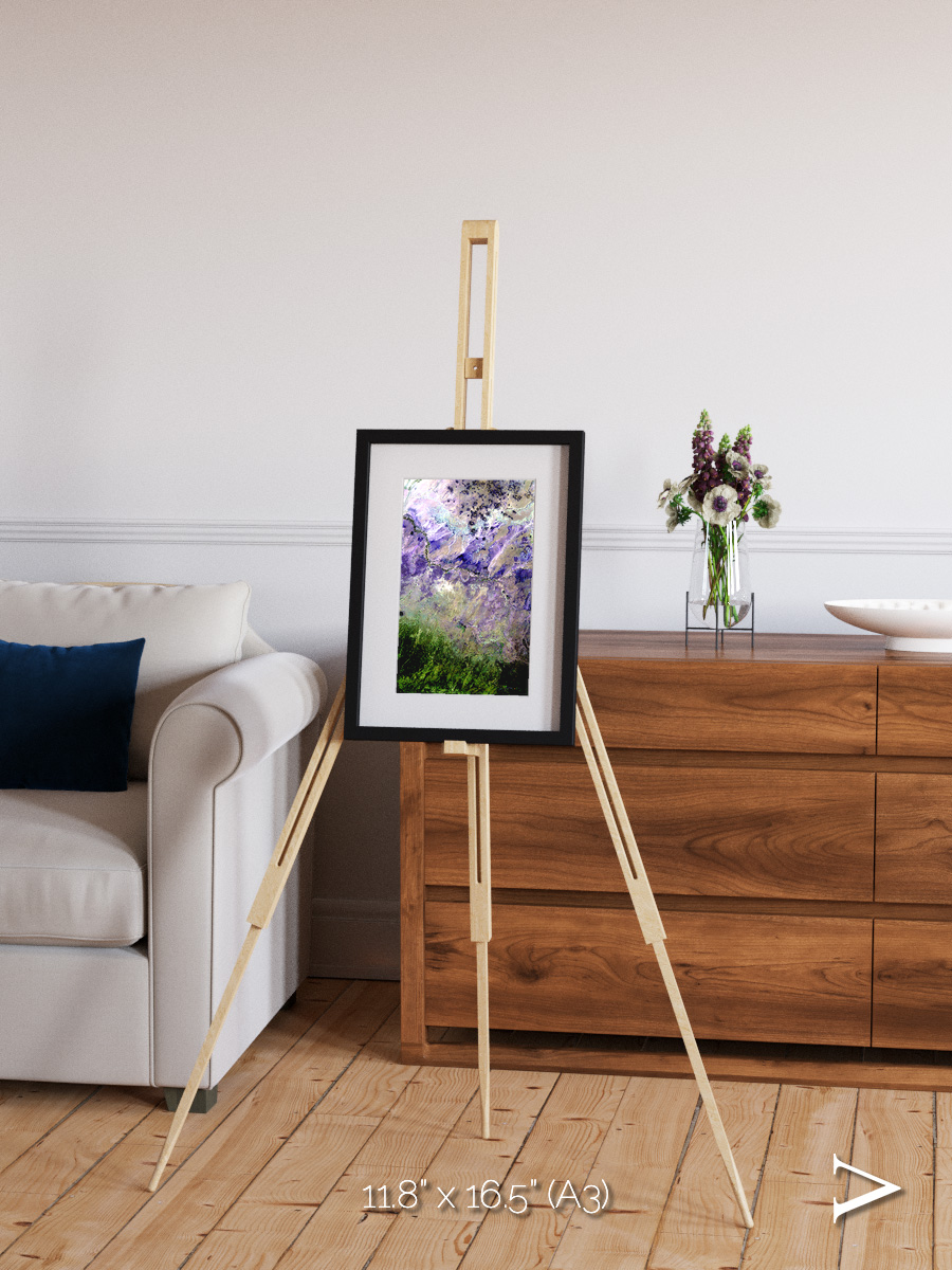 Arid Mosaic, Desert to Forest Framed & Mounted Print