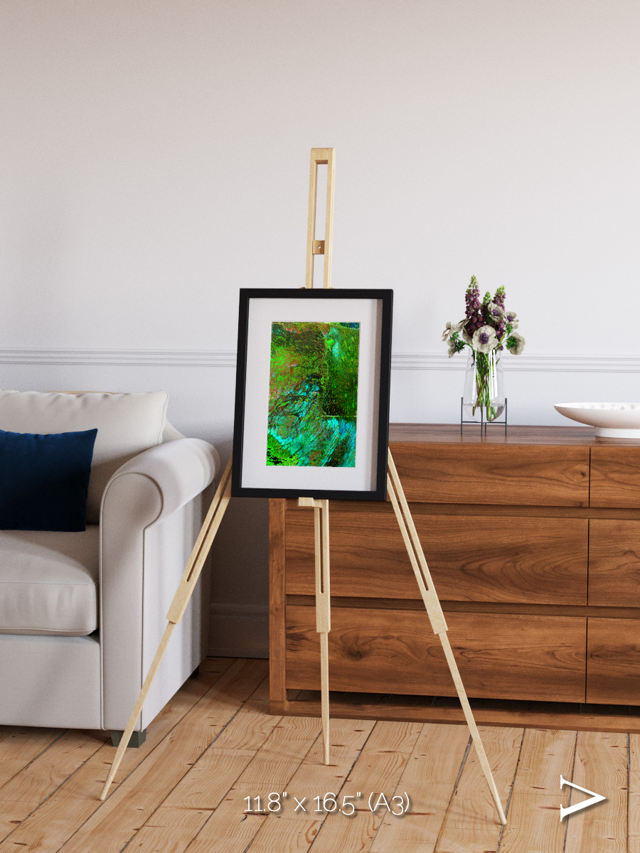 Linear Dunes, Florida Everglades Framed & Mounted Print