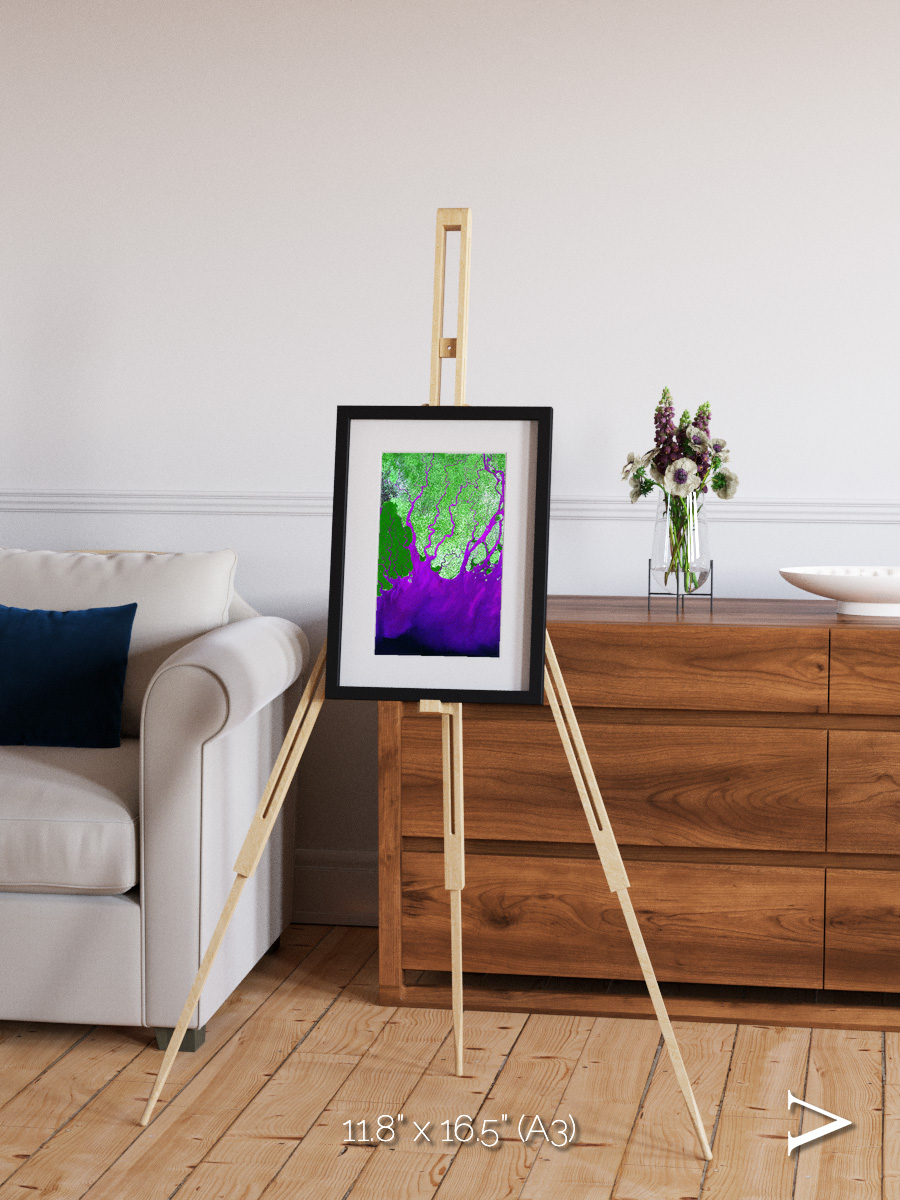 Delta Mosaic, Ganges River Delta Framed & Mounted Print