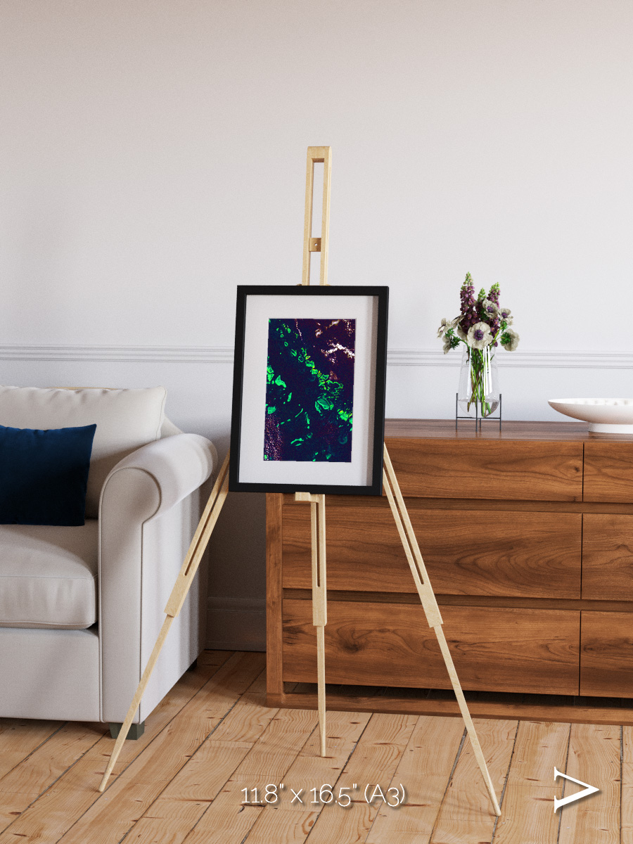 Patterned Ground, Great Barrier Reef Framed & Mounted Print