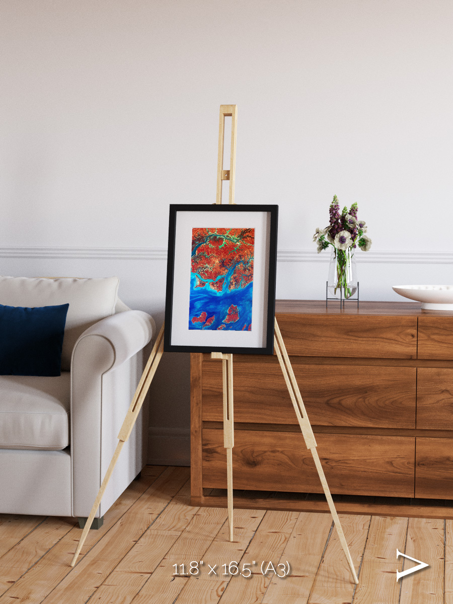 River and Plain, Guinea-Bissau Framed & Mounted Print