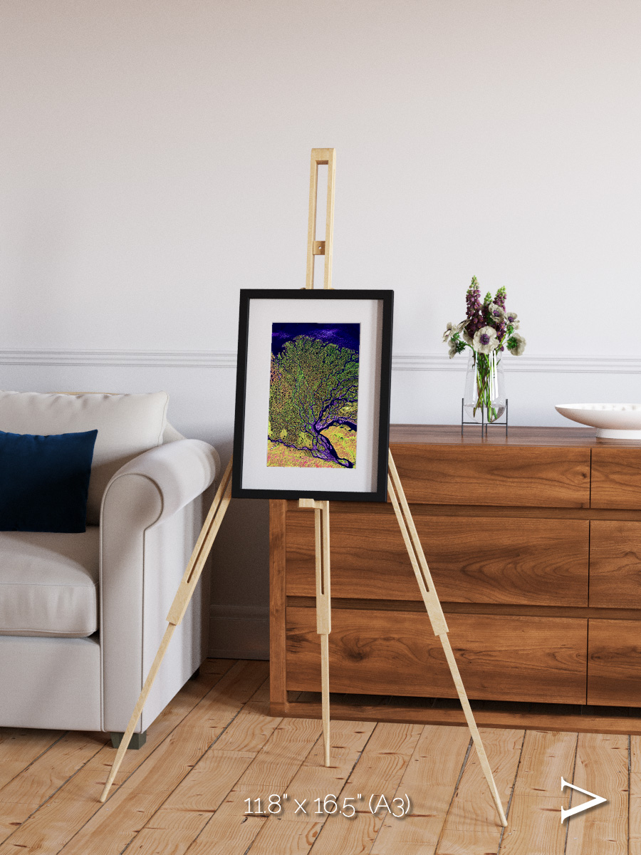 Delta Mosaic, Lena Delta Framed & Mounted Print