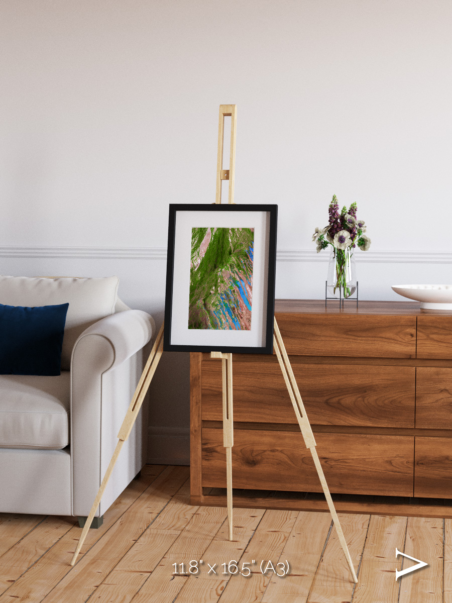 Desert Bloom, Lake Eyre Basin Framed & Mounted Print