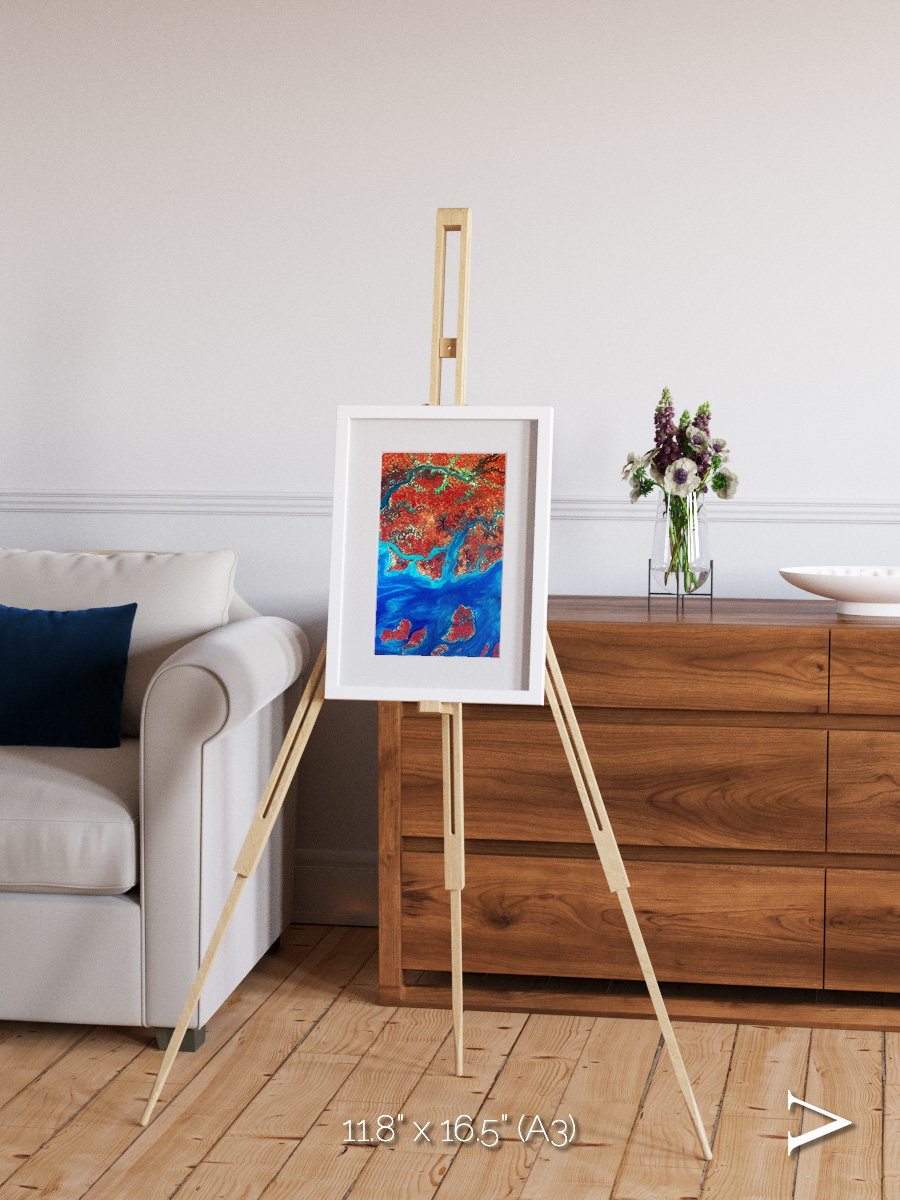 River and Plain, Guinea-Bissau Framed & Mounted Print