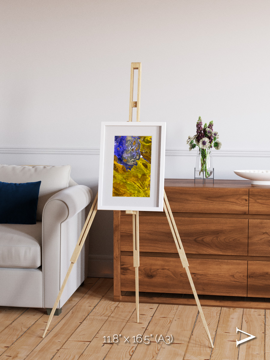 Saline Patterns, Lake Disappointment Framed & Mounted Print