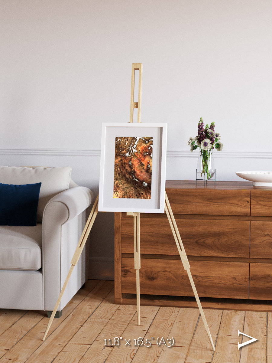 Sunlit Dunes, North America Framed & Mounted Print
