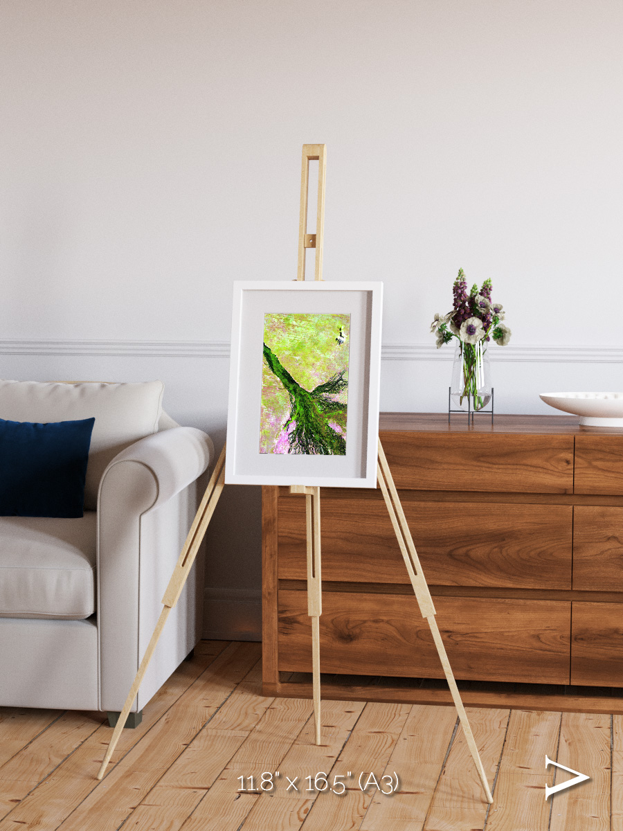 Inland Bloom, Okavango Framed & Mounted Print