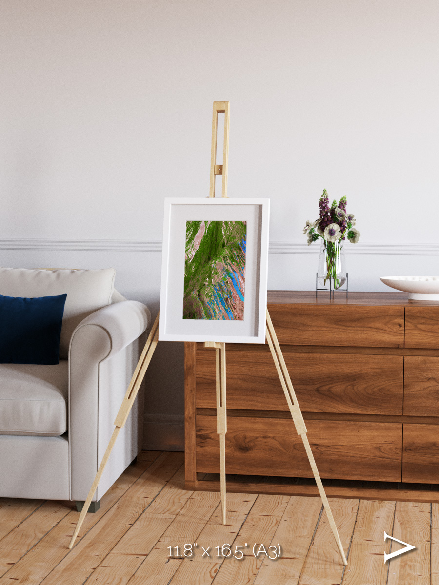 Desert Bloom, Lake Eyre Basin Framed & Mounted Print