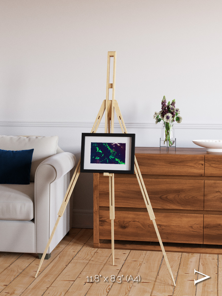 Patterned Ground, Great Barrier Reef Framed & Mounted Print