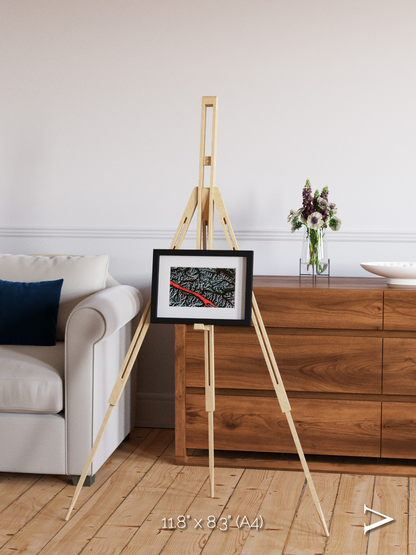 Light in the Trench, Canadian Rockies Framed & Mounted Print