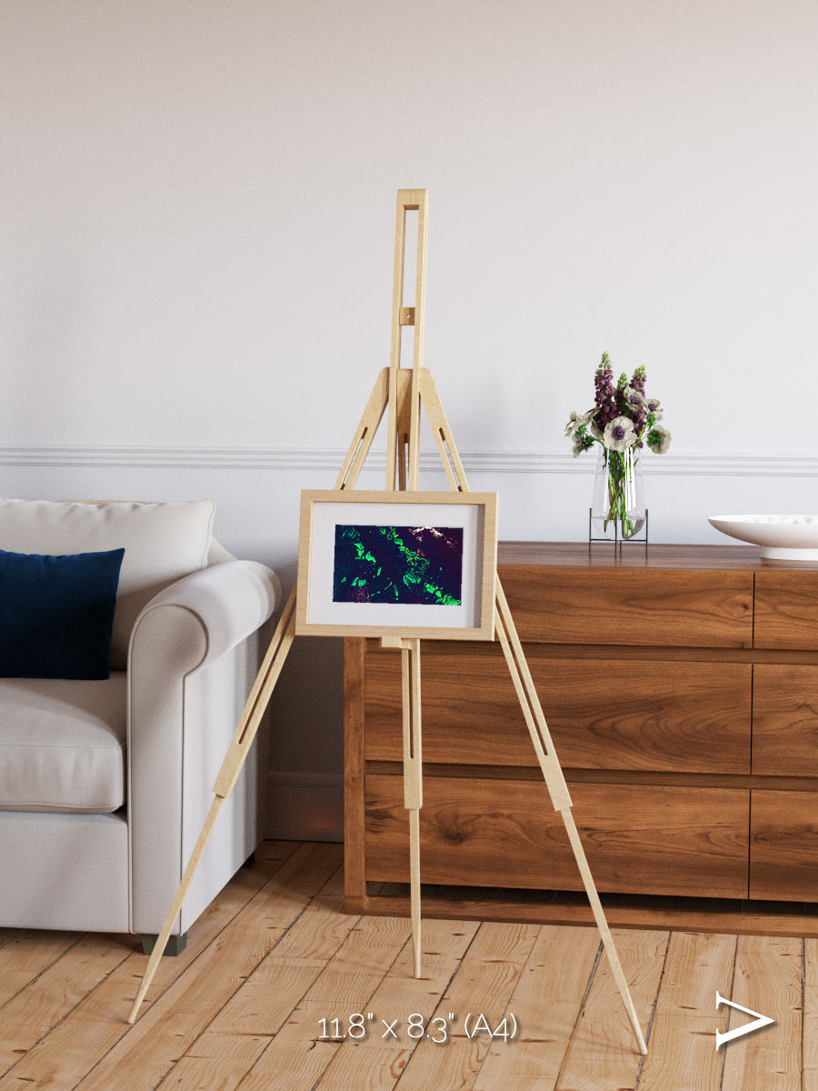 Patterned Ground, Great Barrier Reef Framed & Mounted Print