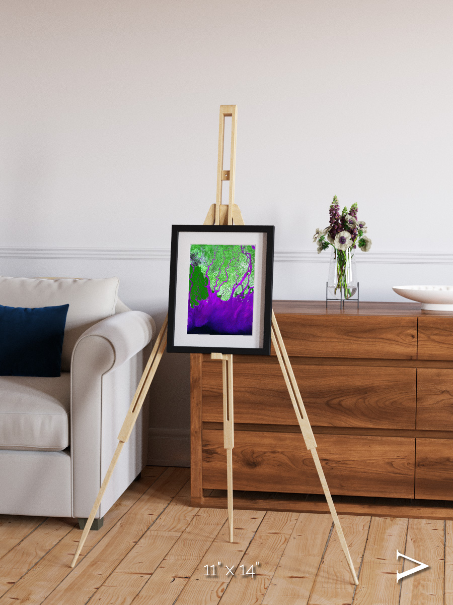 Delta Mosaic, Ganges River Delta Framed & Mounted Print