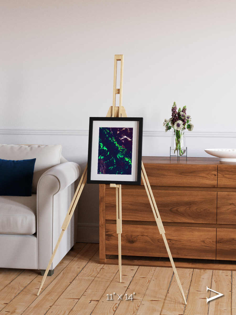 Patterned Ground, Great Barrier Reef Framed & Mounted Print