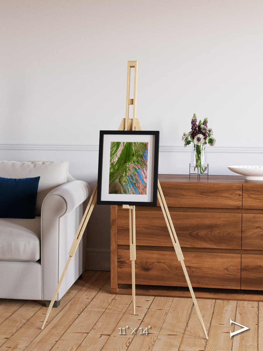 Desert Bloom, Lake Eyre Basin Framed & Mounted Print