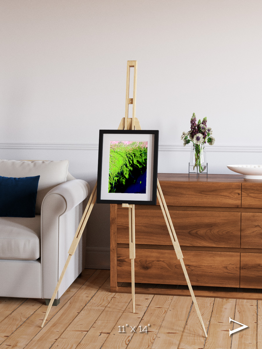 Delta Mosaic, Volga River Delta Framed & Mounted Print
