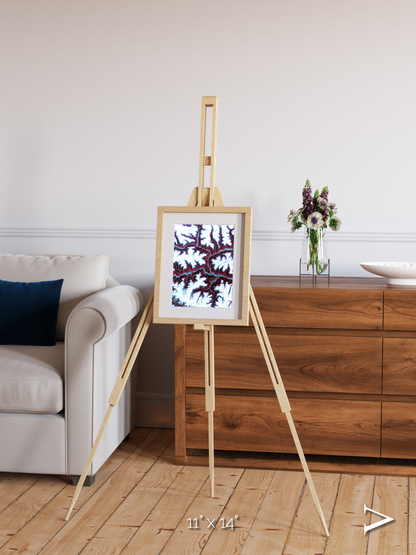 Ribbon River, Himalayas Framed & Mounted Print