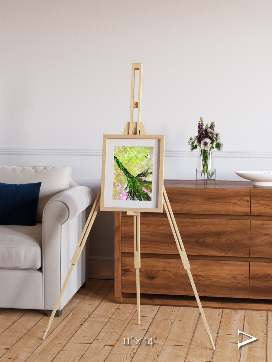 Inland Bloom, Okavango Framed & Mounted Print