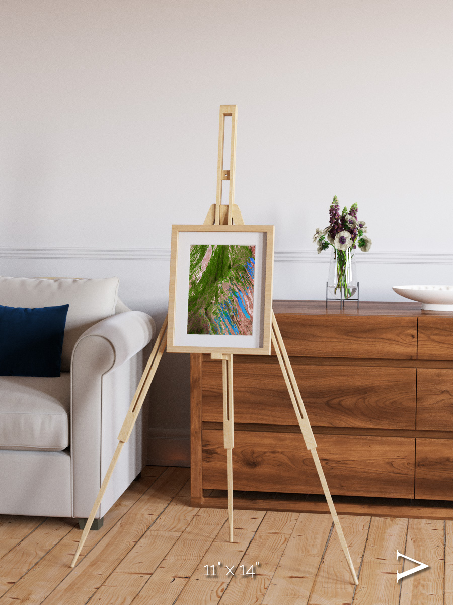 Desert Bloom, Lake Eyre Basin Framed & Mounted Print