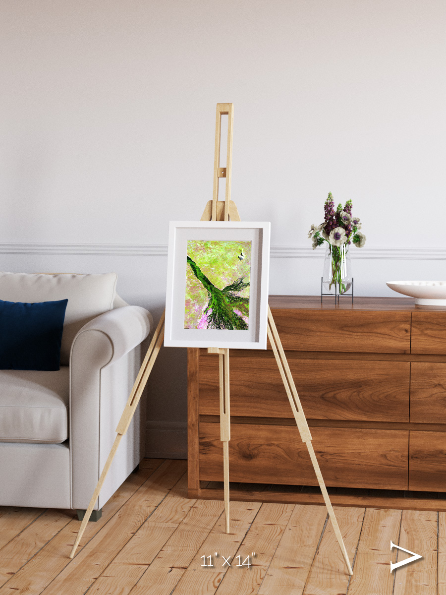 Inland Bloom, Okavango Framed & Mounted Print