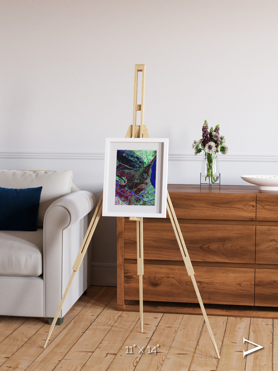 Braided Delta, Parana River Delta Framed & Mounted Print