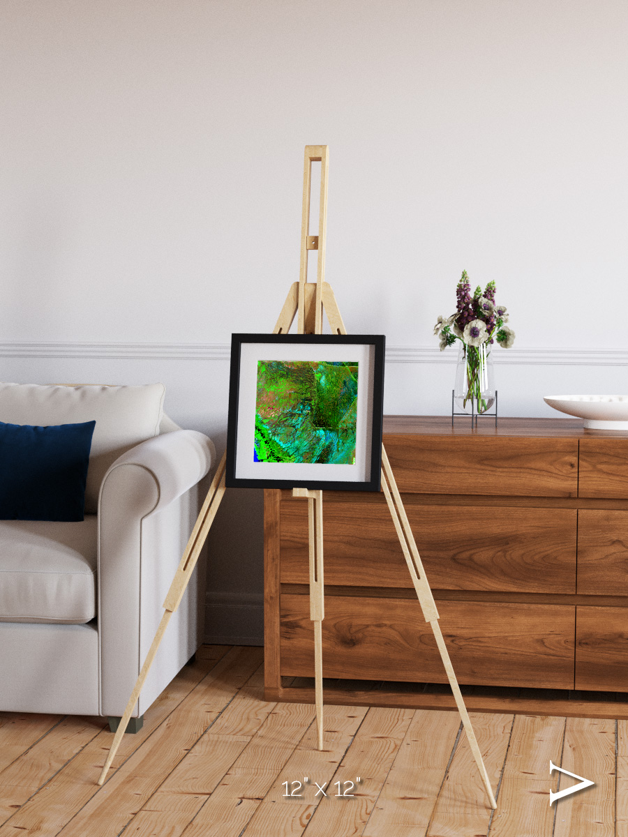Linear Dunes, Florida Everglades Framed & Mounted Print