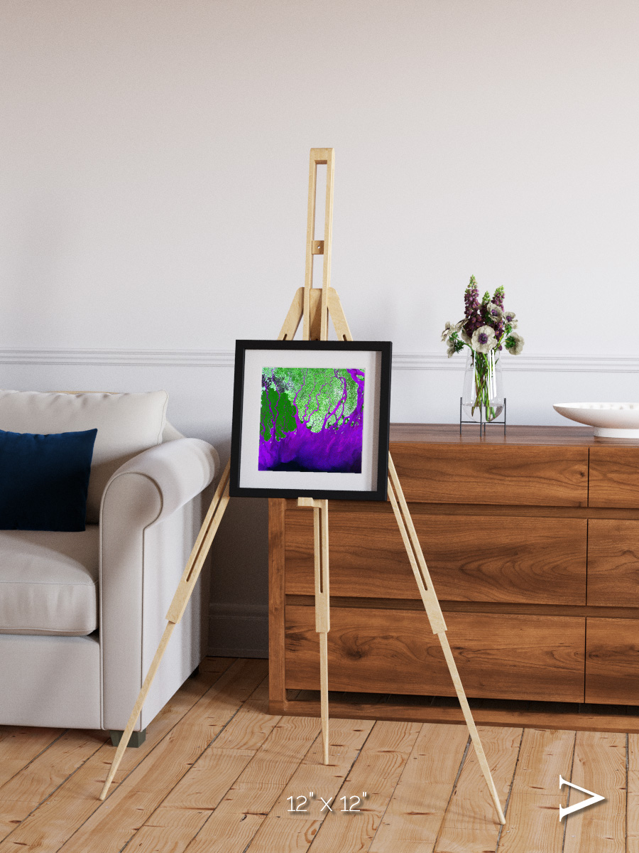 Delta Mosaic, Ganges River Delta Framed & Mounted Print