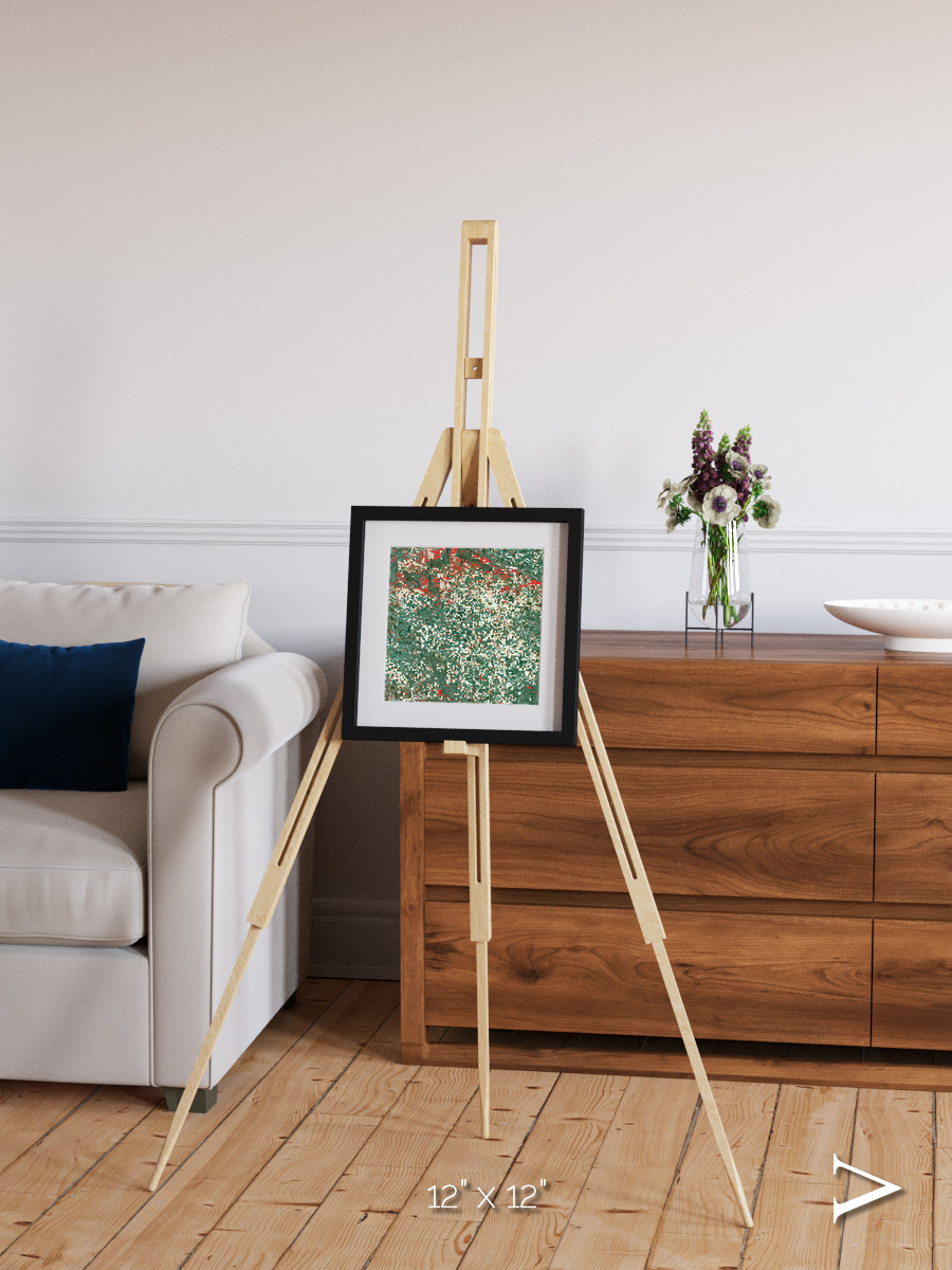 Patterns of Growth, Garden City Framed & Mounted Print