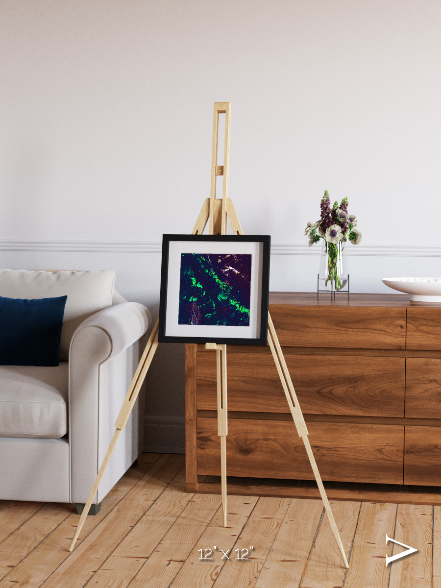 Patterned Ground, Great Barrier Reef Framed & Mounted Print