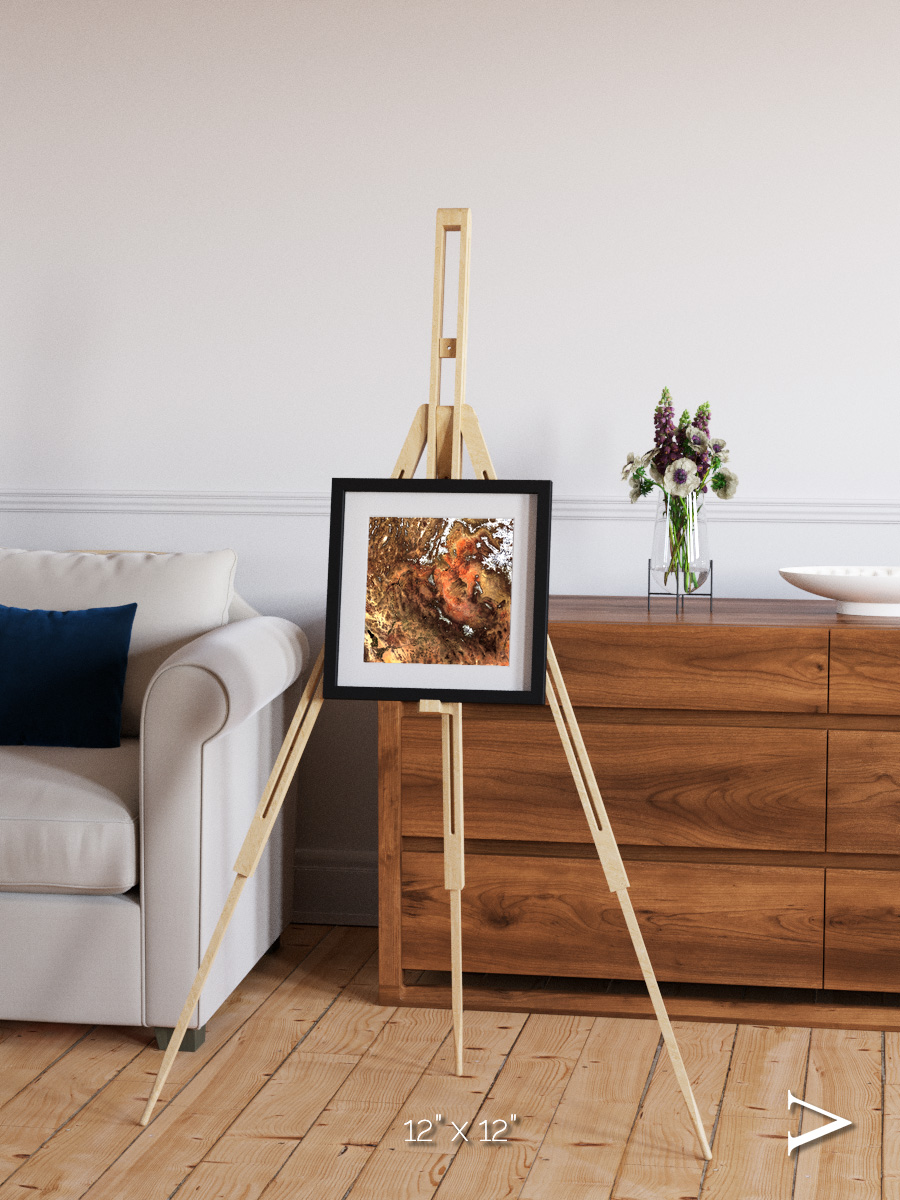 Sunlit Dunes, North America Framed & Mounted Print