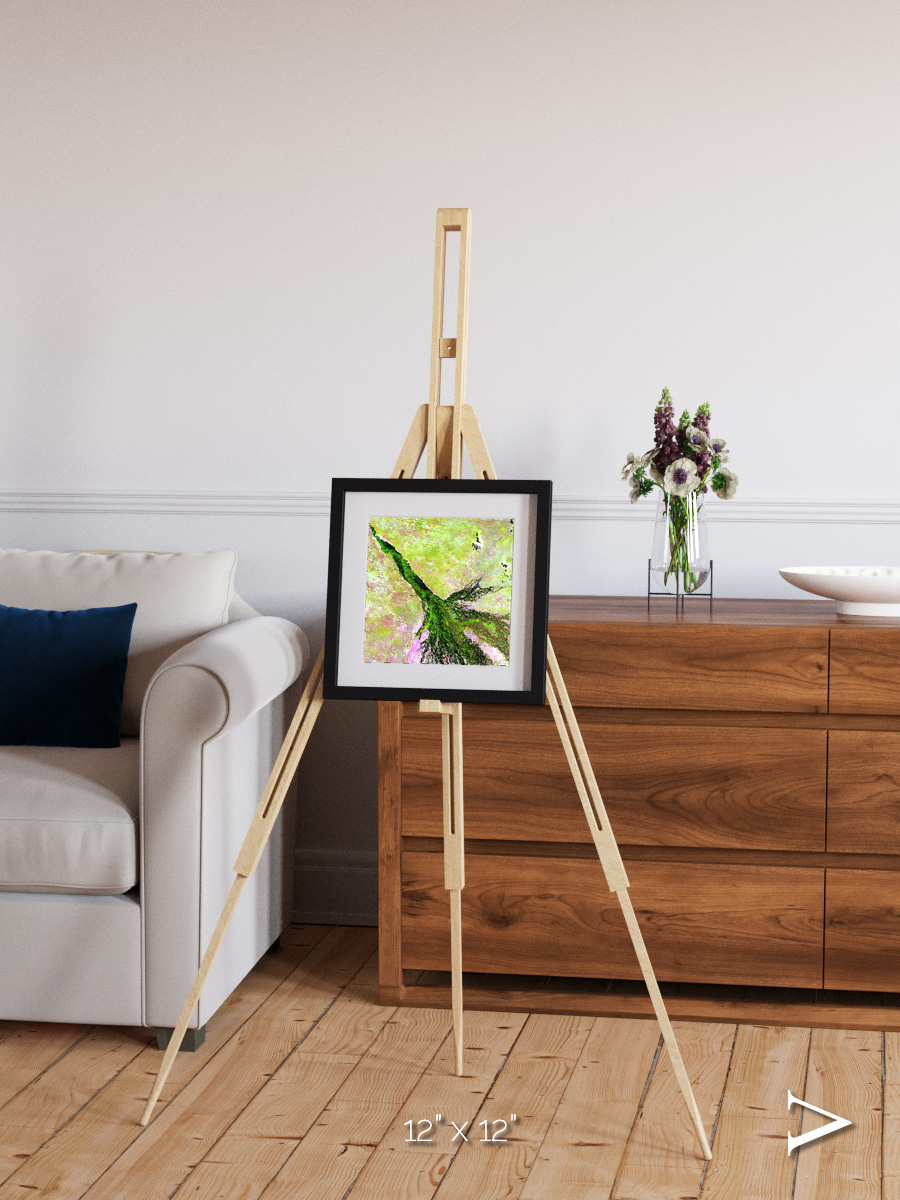 Inland Bloom, Okavango Framed & Mounted Print