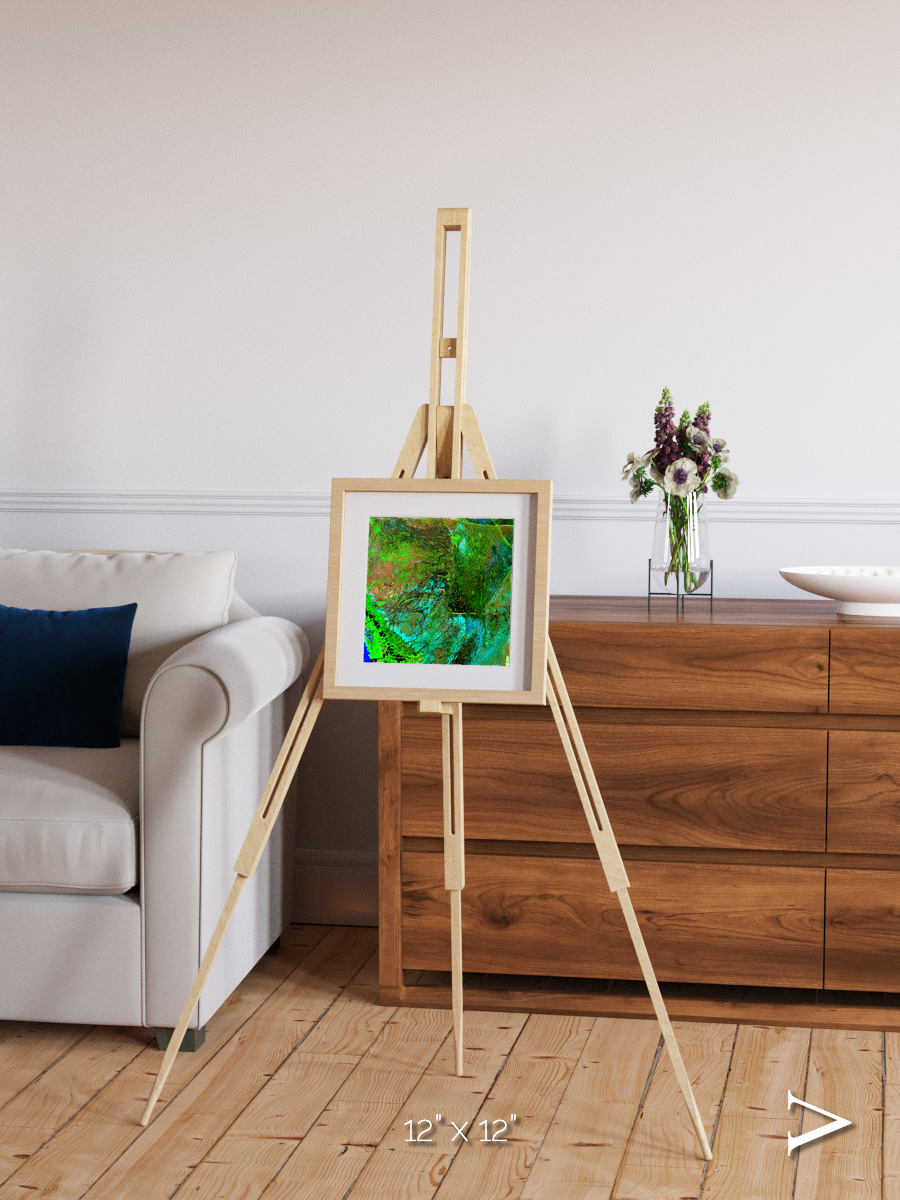Linear Dunes, Florida Everglades Framed & Mounted Print