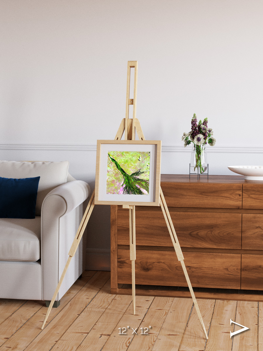 Inland Bloom, Okavango Framed & Mounted Print