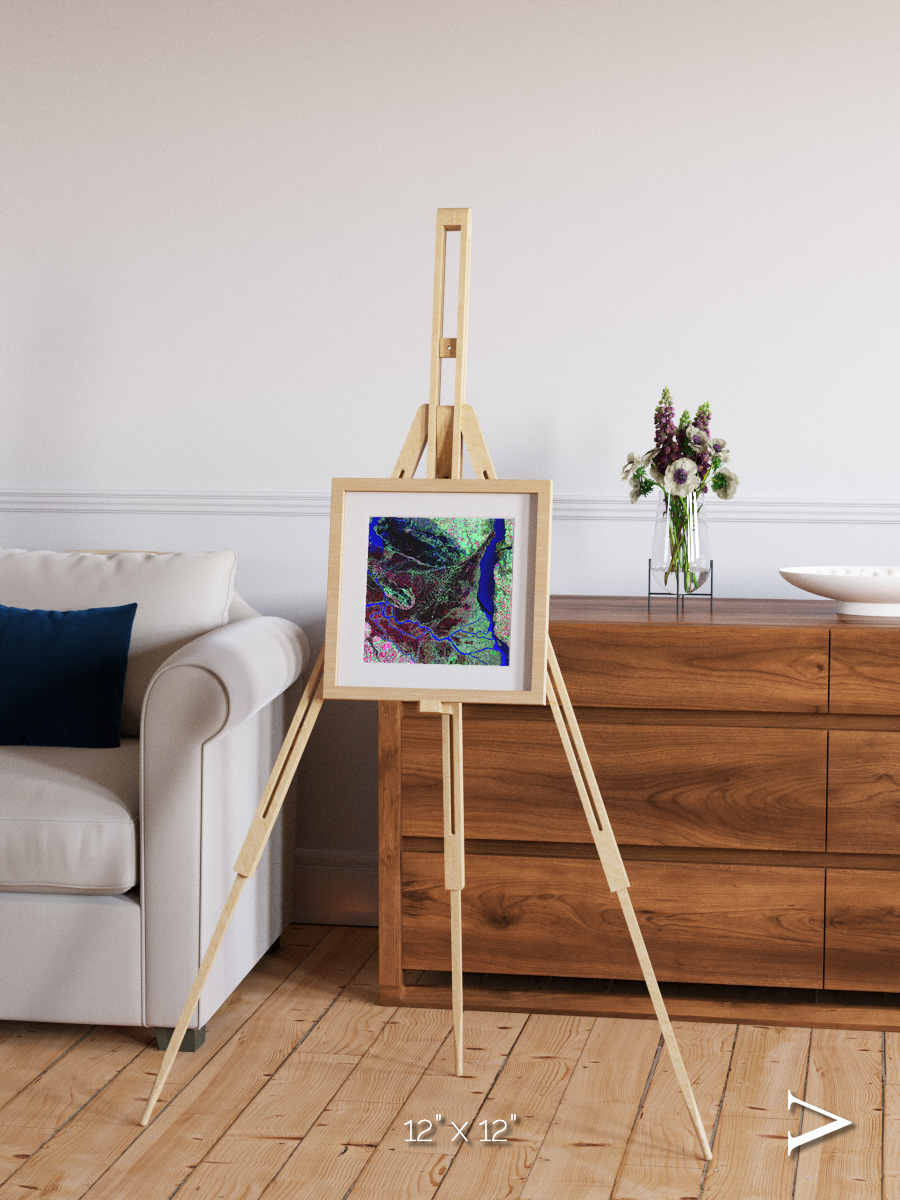 Braided Delta, Parana River Delta Framed & Mounted Print