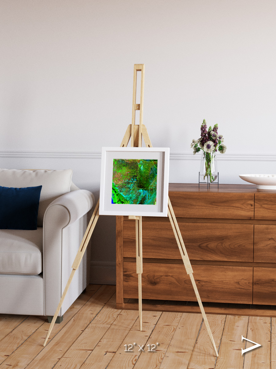 Linear Dunes, Florida Everglades Framed & Mounted Print