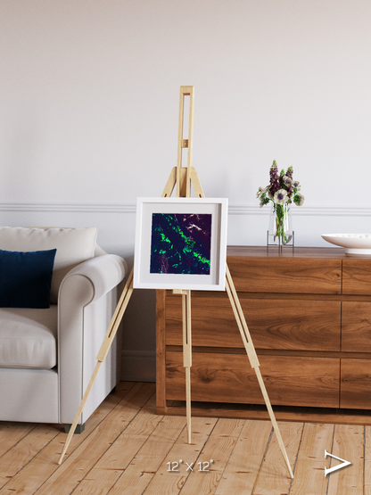 Patterned Ground, Great Barrier Reef Framed & Mounted Print