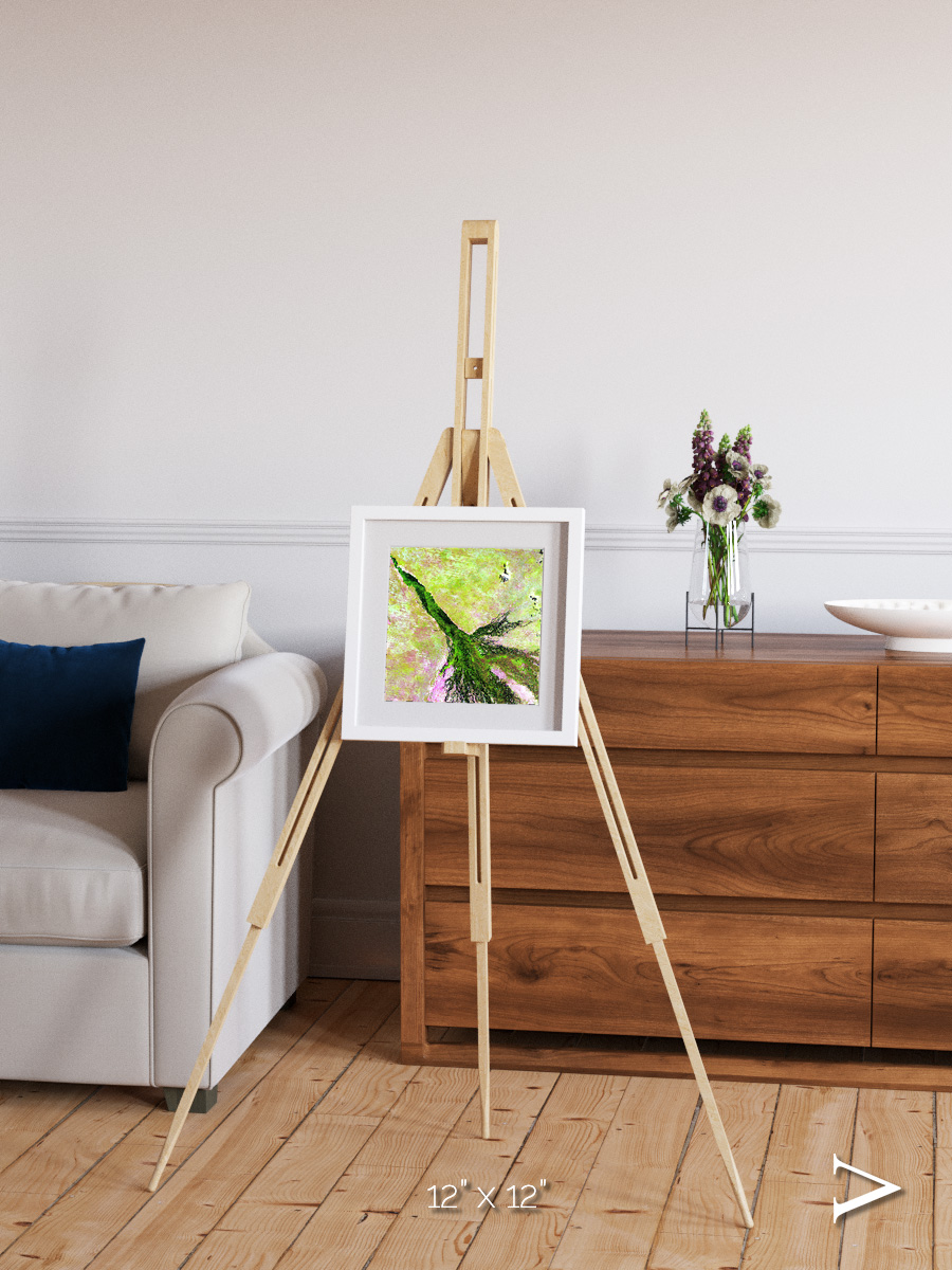 Inland Bloom, Okavango Framed & Mounted Print