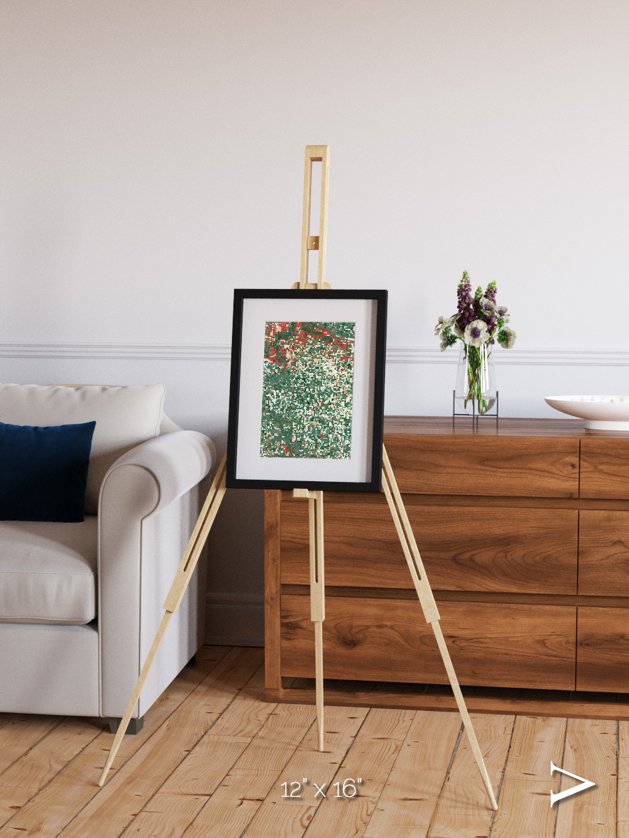 Patterns of Growth, Garden City Framed & Mounted Print