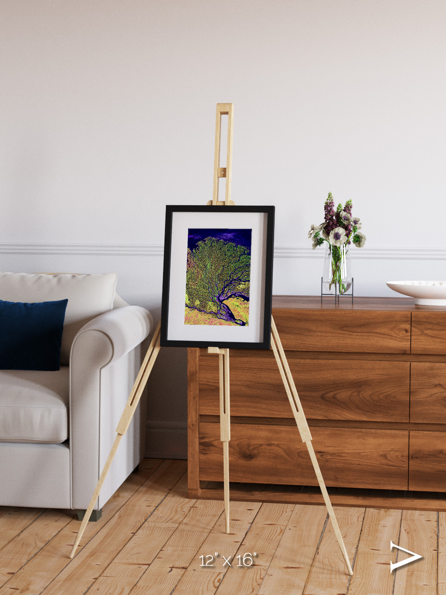 Delta Mosaic, Lena Delta Framed & Mounted Print