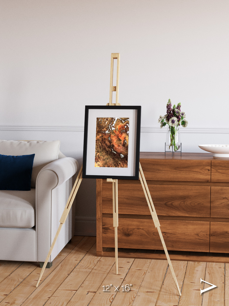 Sunlit Dunes, North America Framed & Mounted Print