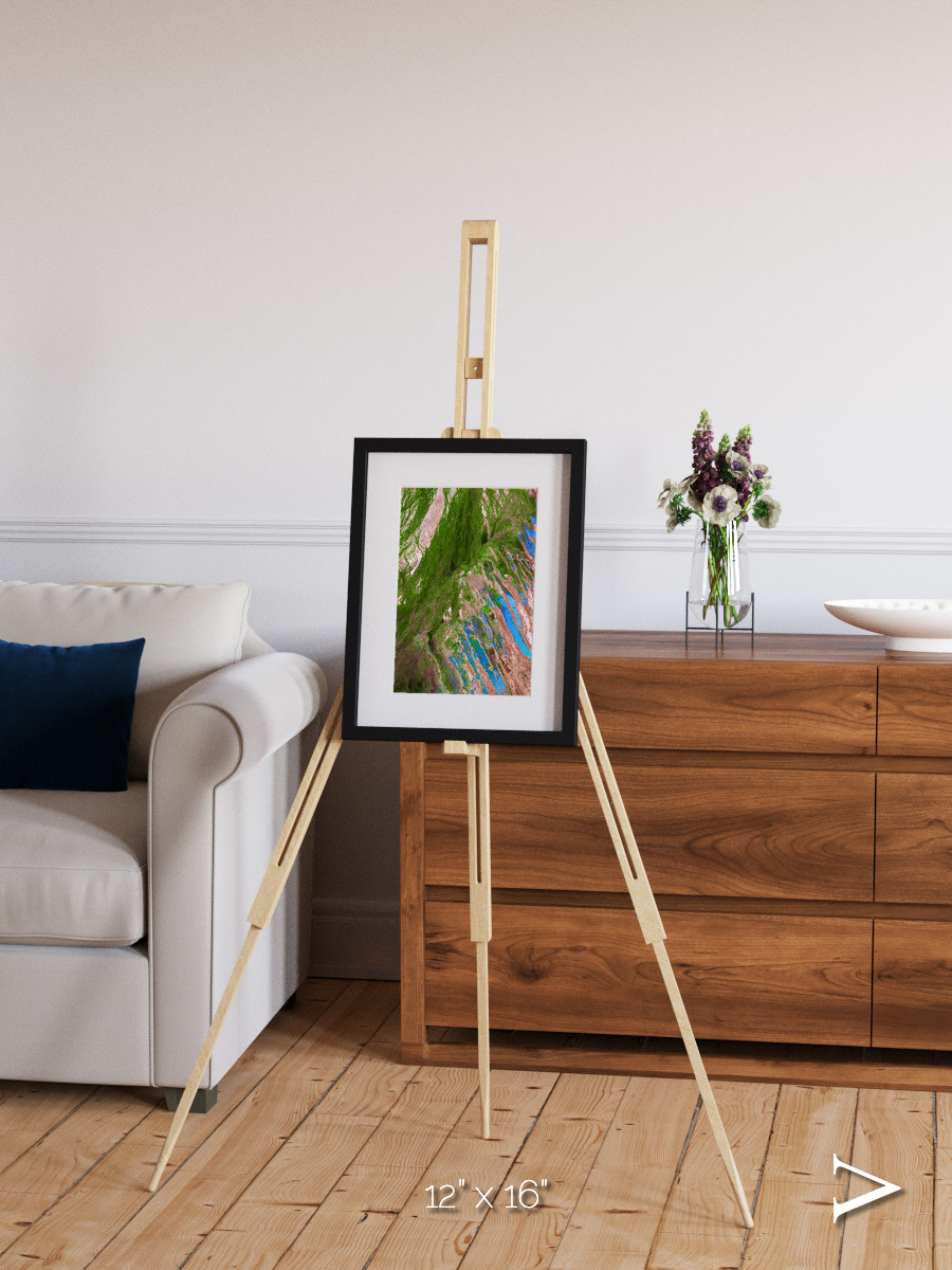 Desert Bloom, Lake Eyre Basin Framed & Mounted Print