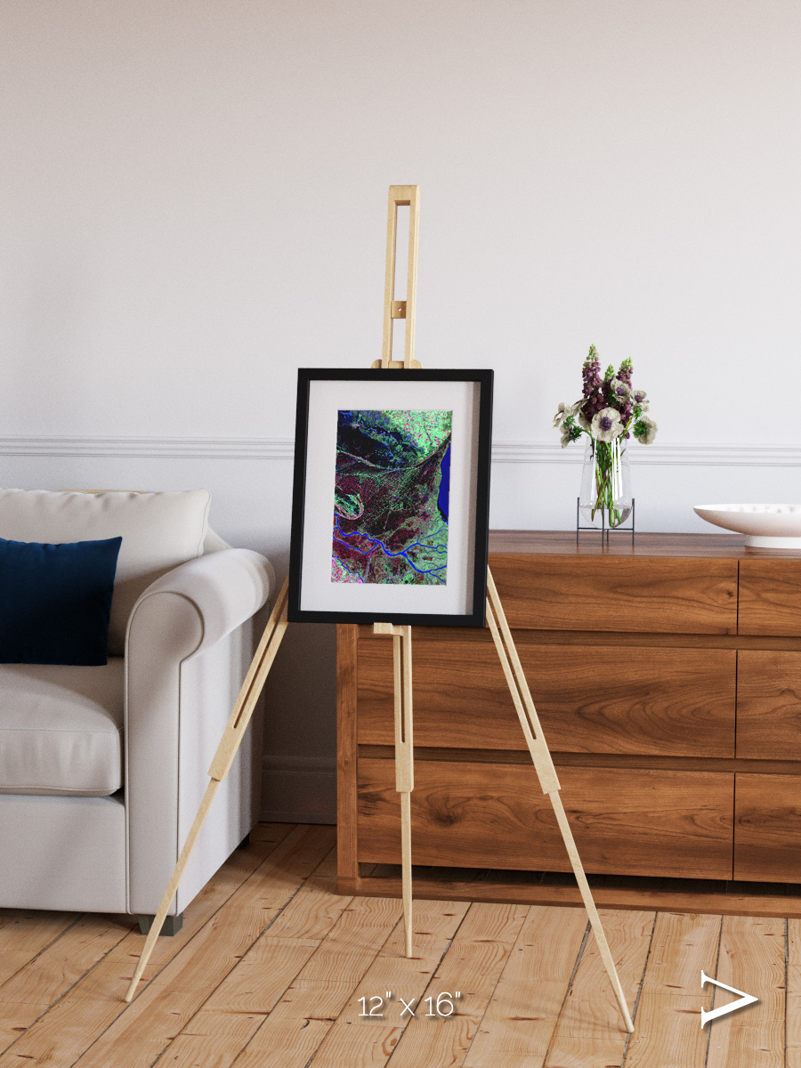 Braided Delta, Parana River Delta Framed & Mounted Print