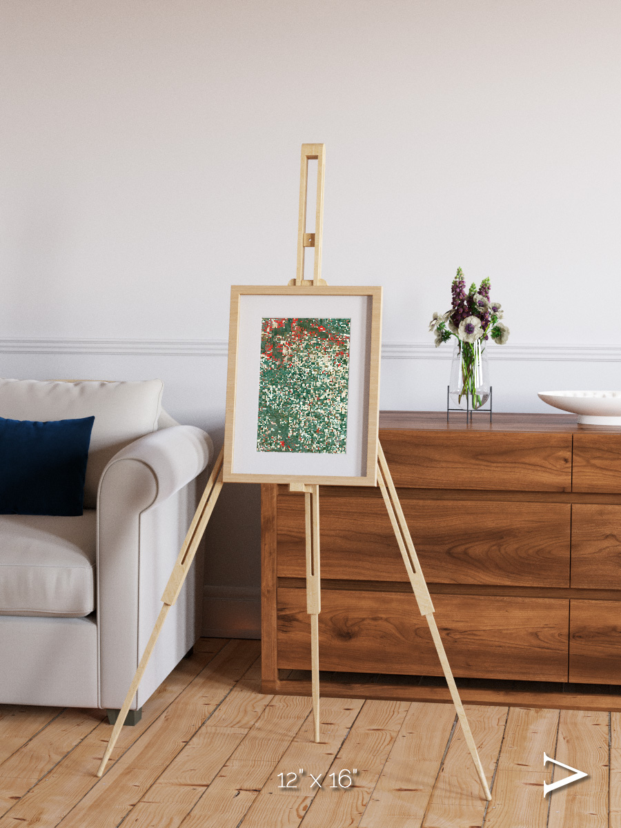 Patterns of Growth, Garden City Framed & Mounted Print