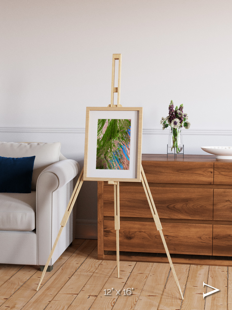 Desert Bloom, Lake Eyre Basin Framed & Mounted Print