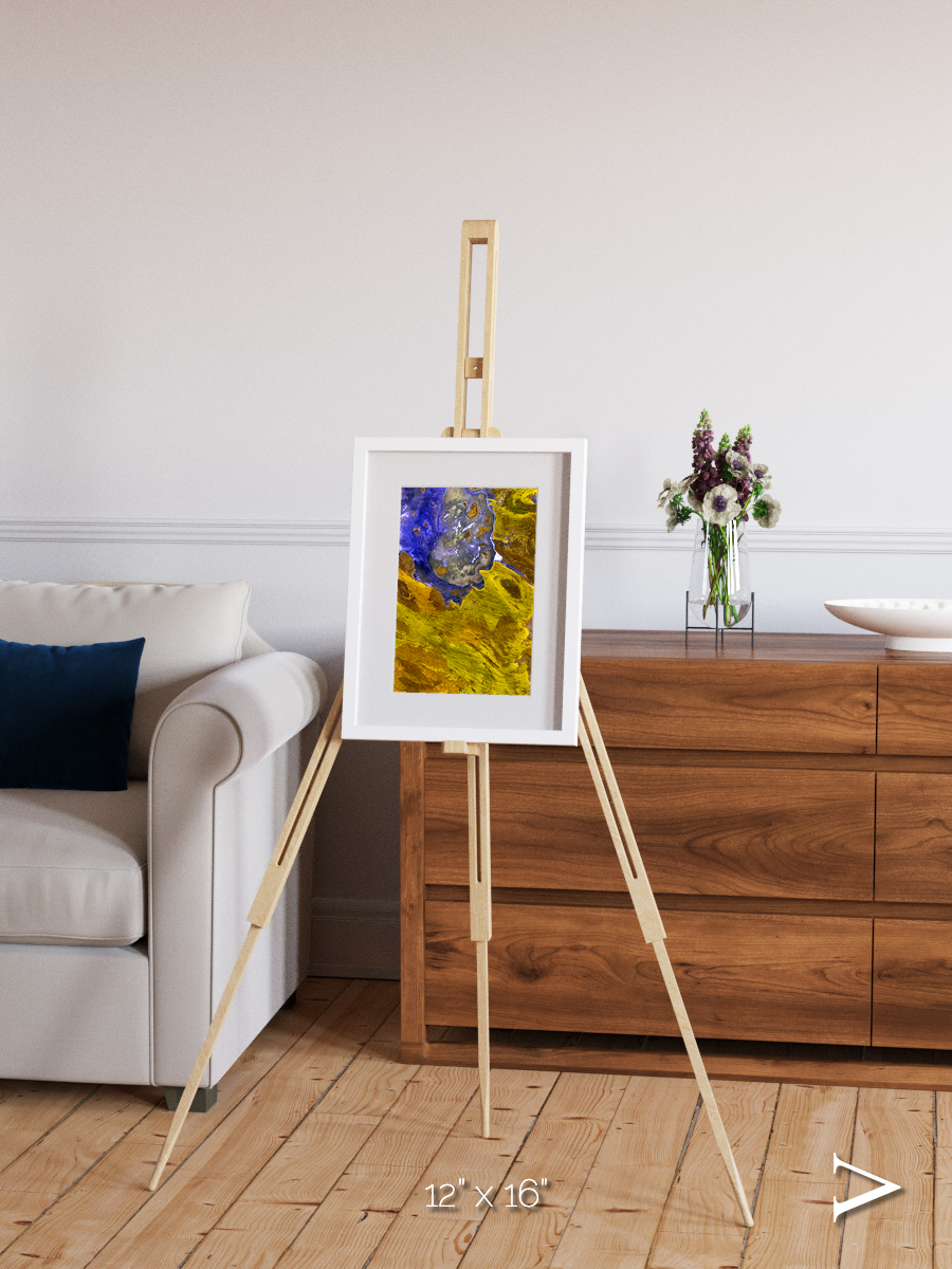 Saline Patterns, Lake Disappointment Framed & Mounted Print