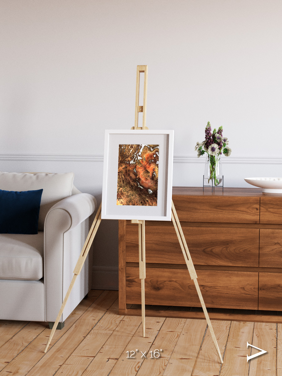 Sunlit Dunes, North America Framed & Mounted Print